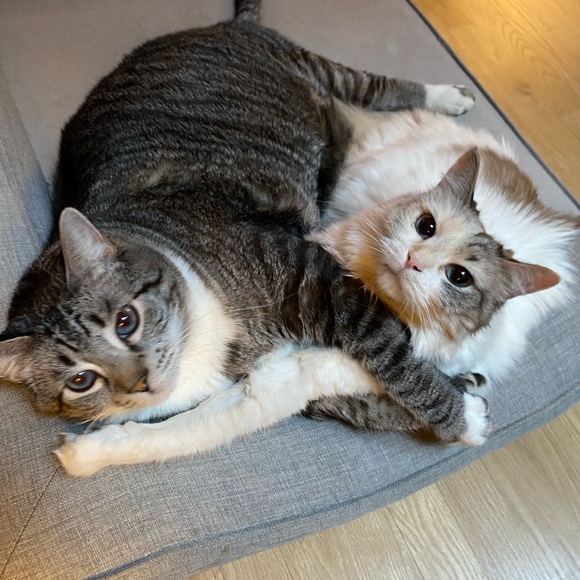 Meet your Posher, Michelle - Picture 4 of 17